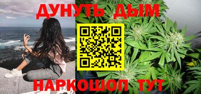 стафф Дубна