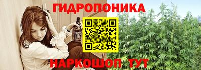 стафф Дубна
