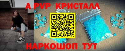 стафф Дубна
