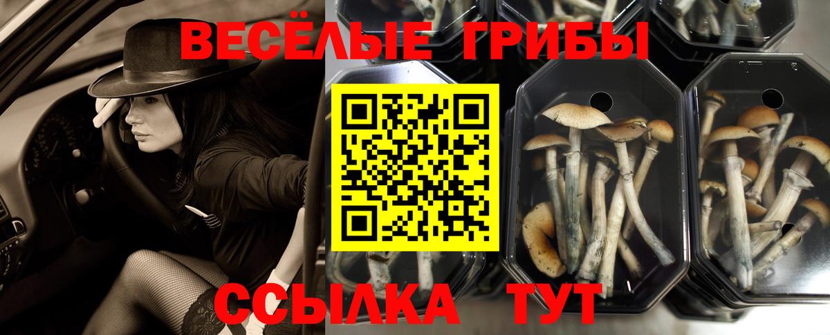 Псилоцибиновые грибы MAGIC MUSHROOMS Салехард